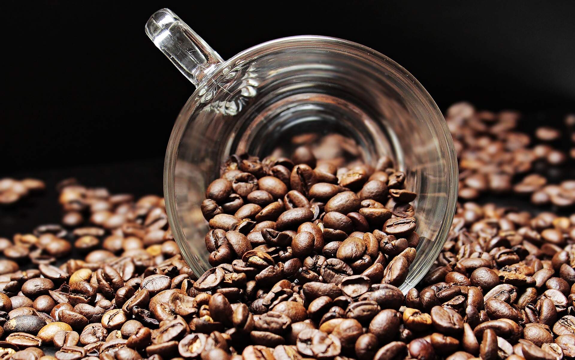 Carf: Não incide contribuição previdenciária sobre lanche in natura e cafezinho